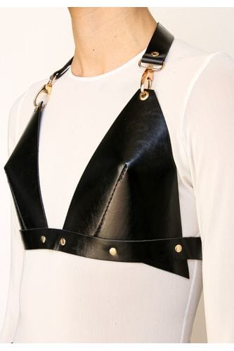 Pointy Bra