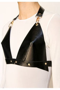 Pointy Bra